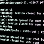 Windows vs Linux: ¿cuáles son sus diferencias?