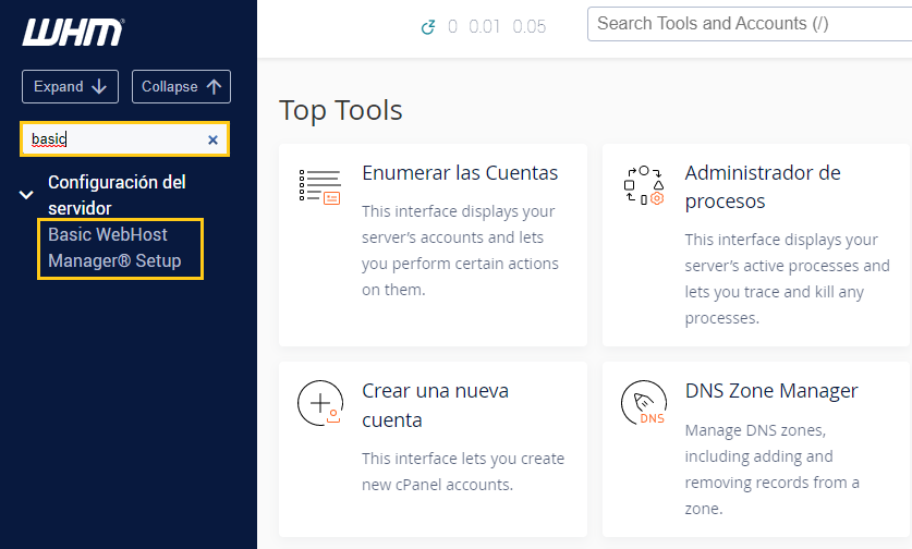 configurar dns personalizado