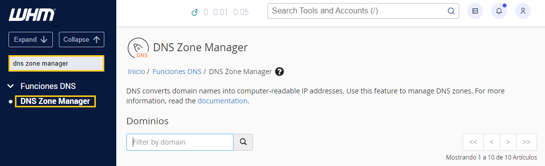 configurar dns personalizado