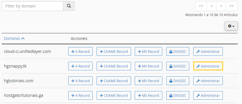 configurar dns personalizado