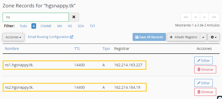 configurar dns personalizado