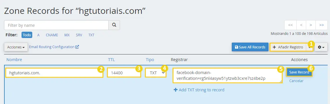 añadir registro facebook txt dns zone