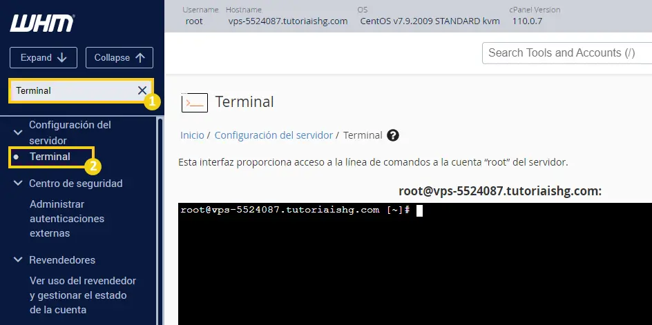 WHM > Terminal