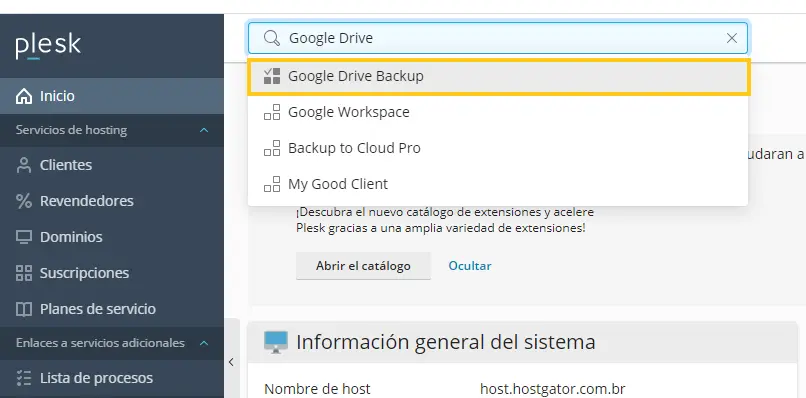 Plesk Google Drive